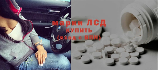 индика Михайловск