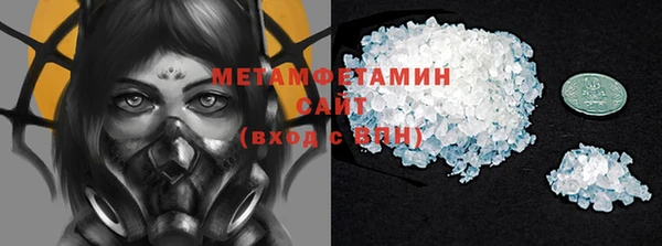 индика Михайловск
