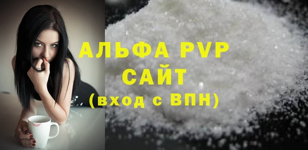 индика Михайловск