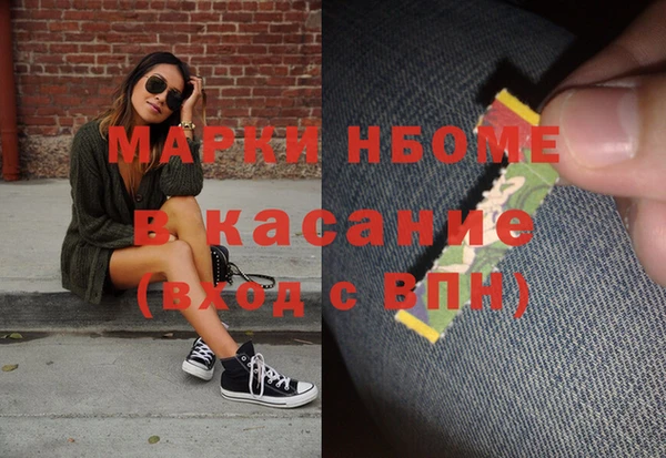 индика Михайловск