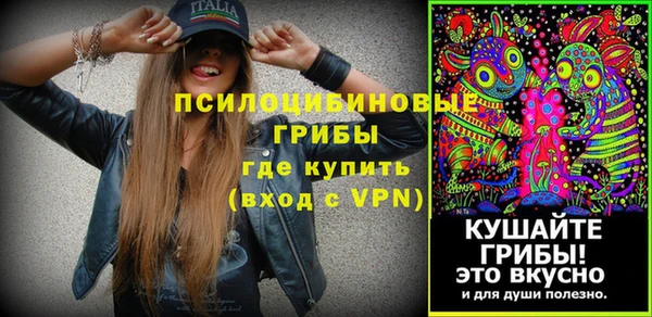 стафф Михайлов