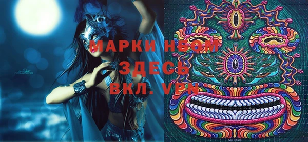 индика Михайловск