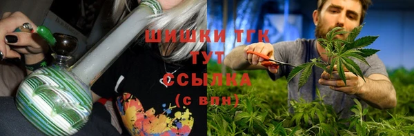 стафф Михайлов