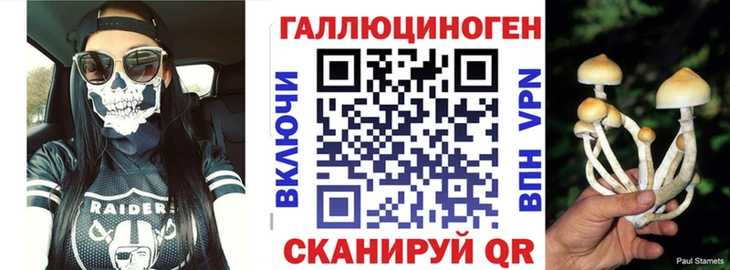 Псилоцибиновые грибы Psilocybine cubensis omg tor Кедровый
