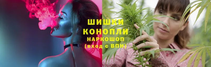 Конопля Ganja  Кедровый 